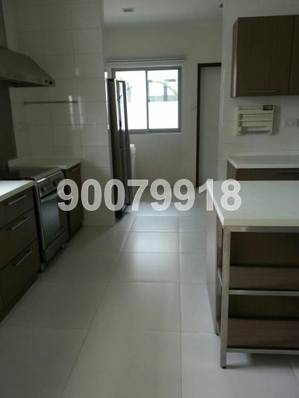 Shamrock Park (D10), Semi-Detached #113013412